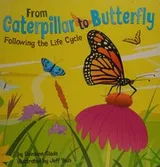 Cover of From caterpillar to butterfly