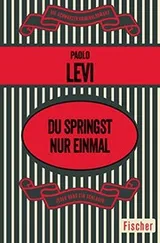 Cover of Du springst nur einmal