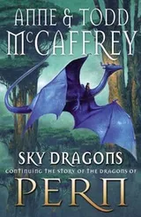 Cover of Sky Dragons