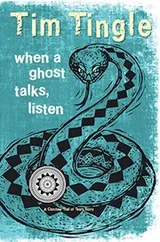 Cover of When a Ghost Talks, Listen--How I Became A Ghost, Book 2
