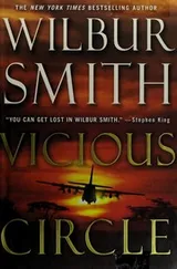 Cover of Vicious circle