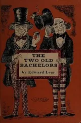 Cover of The two old bachelors