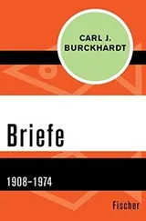 Cover of Briefe