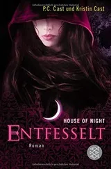Cover of House of Night 11. Entfesselt