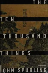 Cover of The Ten Thousand Things