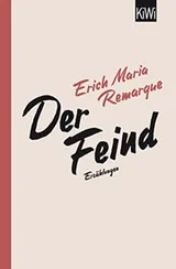 Cover of Ein militanter Pazifist