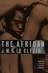 Cover of The African