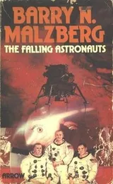 Cover of The Falling Astronauts