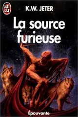 Cover of Source furieuse