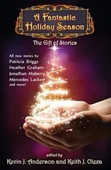 Cover of A Fantastic Holiday Season