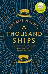 Cover of A Thousand Ships