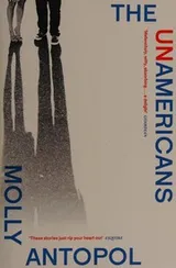 Cover of The UnAmericans