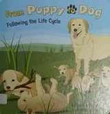 Cover of From puppy to dog