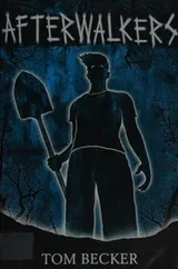 Cover of Afterwalkers