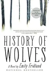 Cover of History of Wolves