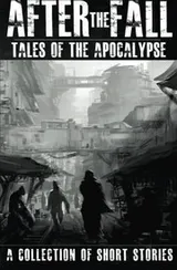 Cover of After the Fall : Tales of the Apocalypse