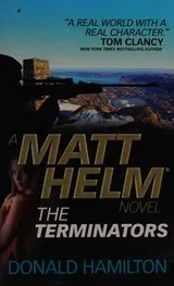 Cover of The terminators
