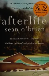 Cover of Afterlife