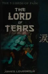 Cover of The Lord of Tears