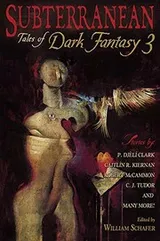 Cover of Subterranean
