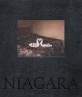 Cover of Alec Soth