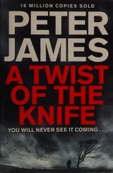 Cover of A twist of the knife