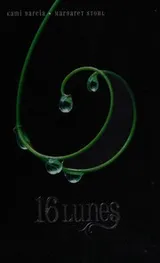 Cover of 16 Lunes
