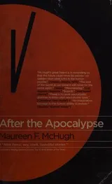 Cover of After the apocalypse