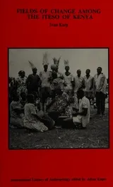 Cover of Fields of change among the Iteso of Kenya