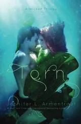 Cover of Torn