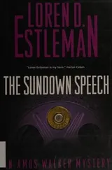 Cover of The sundown speech