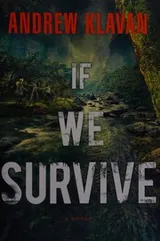Cover of If we survive