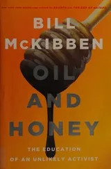 Cover of Oil and honey