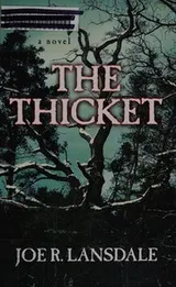 Cover of The thicket