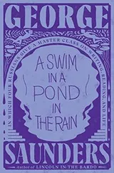 Cover of A Swim in a Pond in the Rain