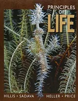 Cover of Principles of Life, Student Handbook for Writing in Biology, BioPortal Access Card   & iClicker