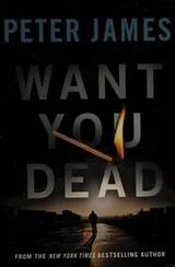 Cover of Want you dead