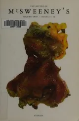 Cover of The Better of McSweeney's - Volume Two - Issues 11-20