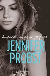Cover of Buscando al amor perfecto