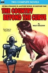 Cover of The Country Beyond the Curve & Empire
