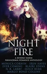 Cover of Night Fire