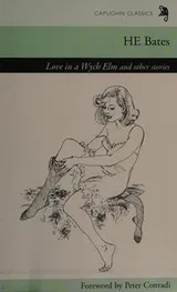 Cover of Love in a Wych Elm and other stories