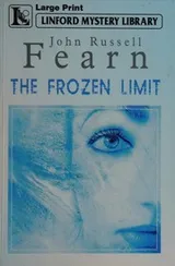 Cover of The frozen limit
