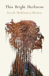 Cover of This Bright Darkness