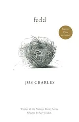Cover of feeld