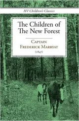 Cover of The Children of the New Forest