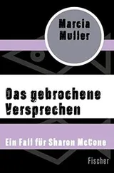 Cover of Das gebrochene Versprechen