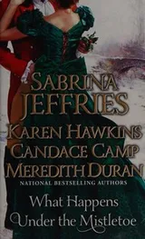 Cover of What Happens under the Mistletoe