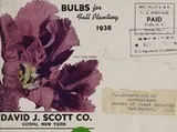 Cover of Bulbs for fall planting, 1938
