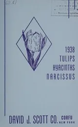 Cover of 1938 tulips, hyacinths, narcissus